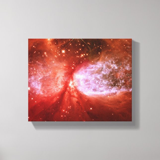 Phoenix Leinwanddruck (Vorderseite)