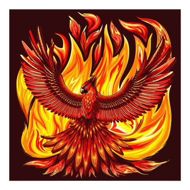Phoenix mythologische unsterbliche Kreatur Fotodruck (Vorne)