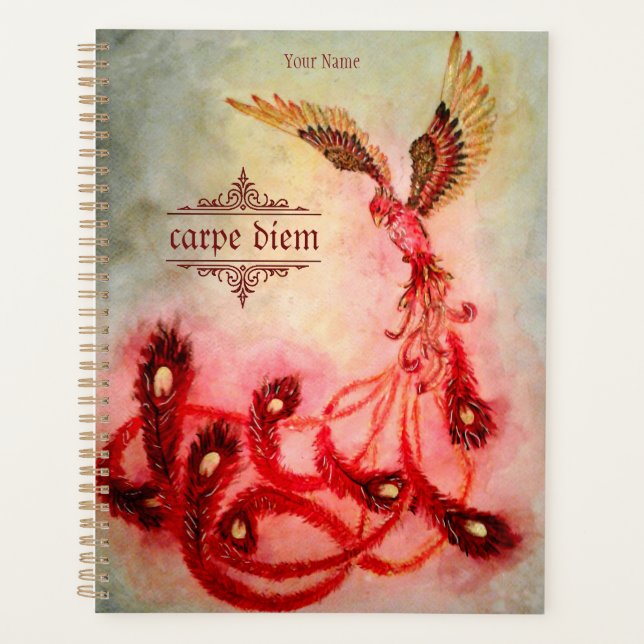 Phoenix Planer (Vorderseite)