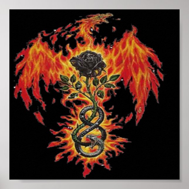 Phoenix-Poster Poster (Vorne)