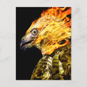 Phoenix Postkarte
