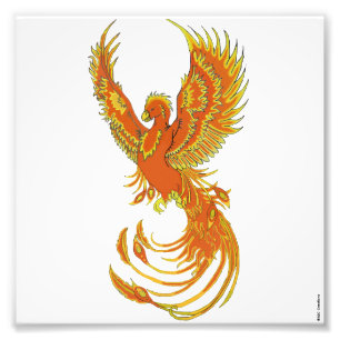 Phoenix Rising Foto Print