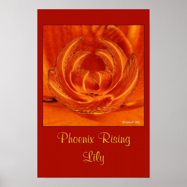 Phoenix Rising Lily Poster (Vorne)