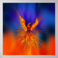 Phoenix Rising