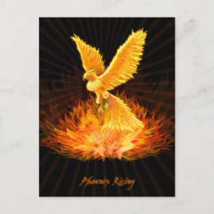 Phoenix Rising Postkarte