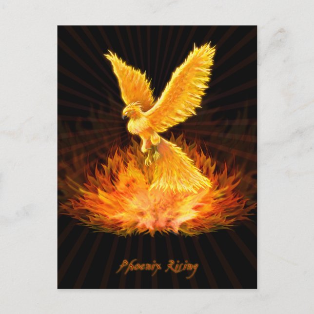 Phoenix Rising Postkarte (Vorderseite)