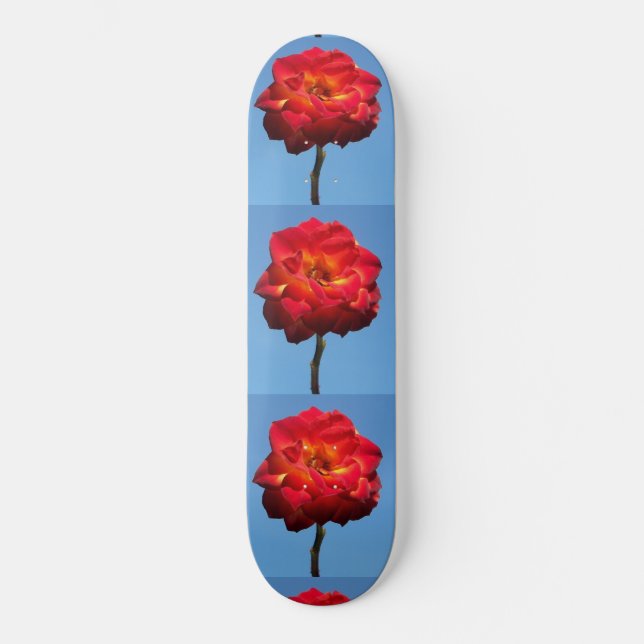 Phoenix-Rose im Skateboard (Vorderseite)