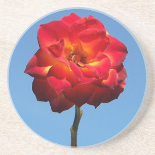 Phoenix-Rose im Sky-Untersetzer Sandstein Untersetzer