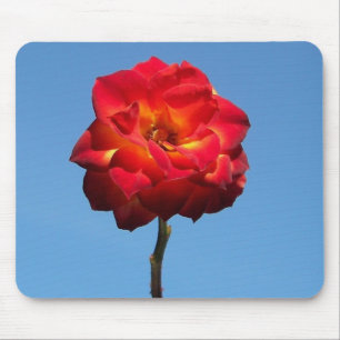 Phoenix-Rose in der Sky-Mousepad Mousepad