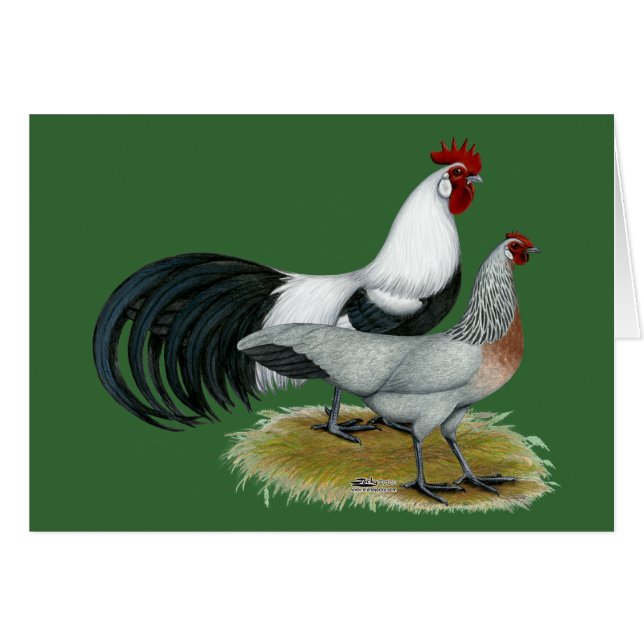 Phoenix:  Silberne Duckwing Paare (Vorderseite (Horizontal))