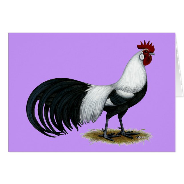 Phoenix:  Silberner Duckwing Hahn (Vorderseite (Horizontal))