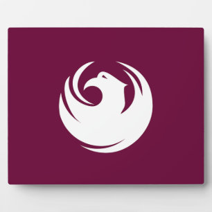 Phoenix Stadtflaggenplakette Fotoplatte