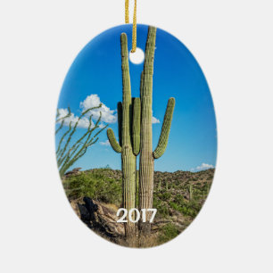 Phoenix, Tucson, Mesa, Scottsdale, Goodyear Keramikornament