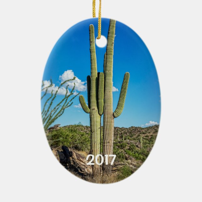 Phoenix, Tucson, Mesa, Scottsdale, Goodyear Keramikornament (Hinten)