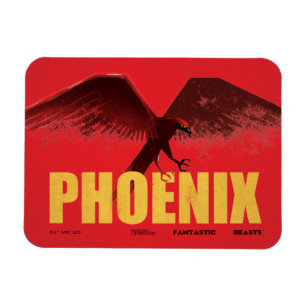 Phoenix Vingate Graphic Magnet
