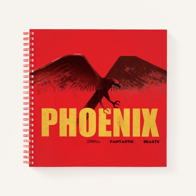 Phoenix Vingate Graphic Notizbuch (Vorderseite)
