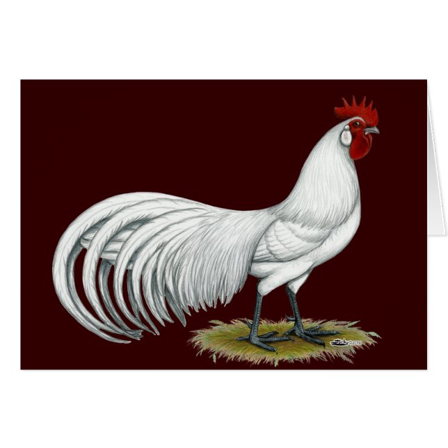 Phoenix: Weißer Rooster (Vorderseite (Horizontal))