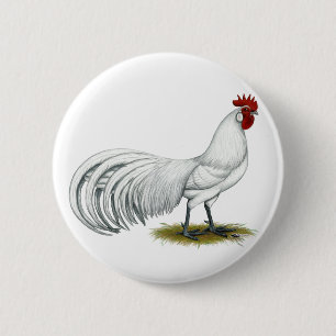 Phoenix: Weißer Rooster Button