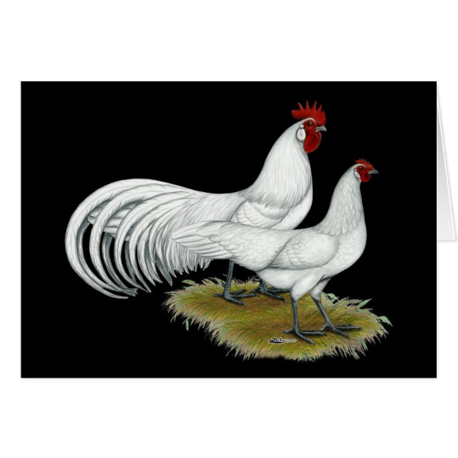 Phoenix: Weißes Paar (Vorderseite (Horizontal))