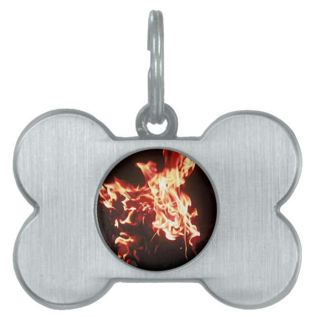 Phoenixsteigen Tiermarke (Vorderseite)