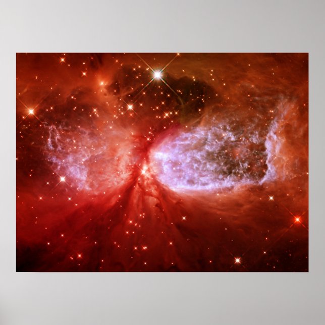 Phönix Poster (Vorne)