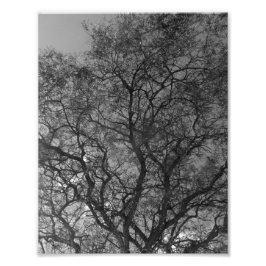 Photo Enlargement Fotodruck