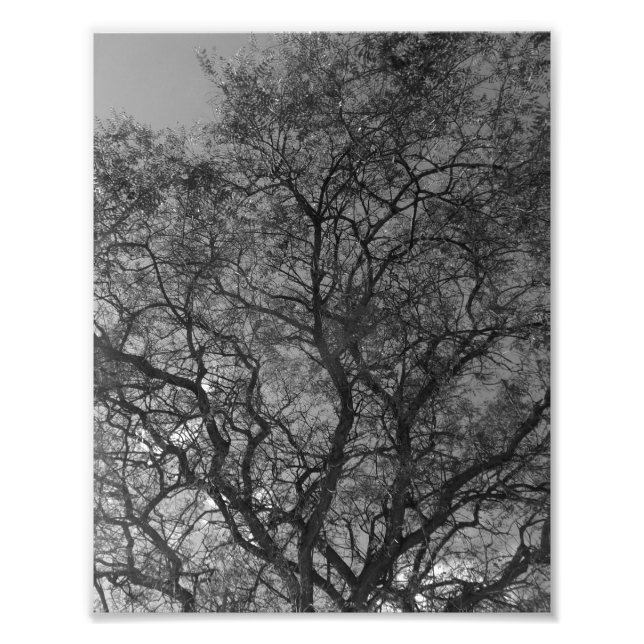 Photo Enlargement Fotodruck (Vorne)