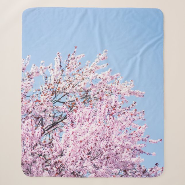 PHOTO OF CHERRY BLOSSOM TREE SHERPADECKE (Vorderseite)