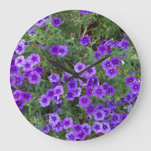 Photo of Purple Phlox flowers on a Große Wanduhr