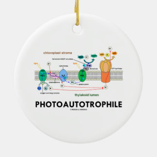 Photoautotrophile Fotosynthese Keramik Ornament