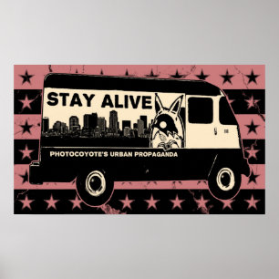Photocoyote's Stars & Van Poster