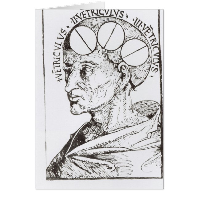 Phrenologie (Vorne)
