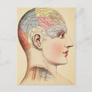 Phrenologie-Kopf - Vintage-Postkarte Postkarte