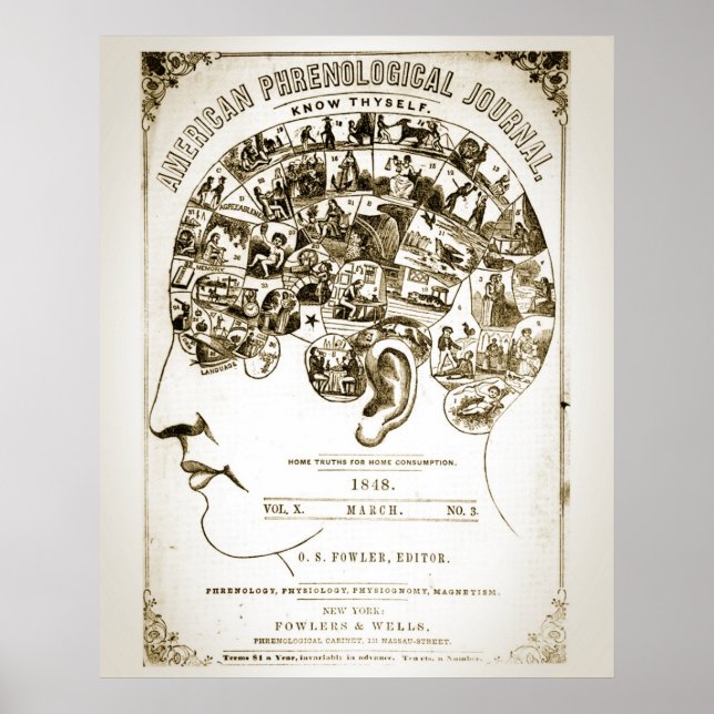 Phrenologie Poster (Vorne)