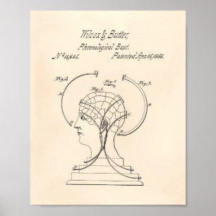 Phrenologische Büste 1856 Patent Kunst Alte Peper Poster