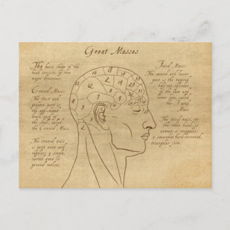 Phrenology Diagram Postkarte