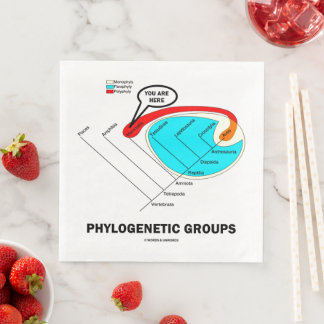Phylogenetische Gruppen (Mammalia) Sie sind hier Serviette