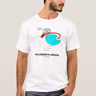Phylogenetische Gruppen - Sie sind hier T-Shirt