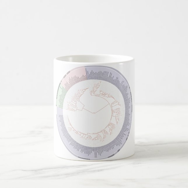 Phylogenetischer Baum der Tasse A von Leben (Mittel)