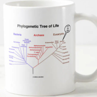 Phylogenetischer Baum des Lebens - Sie sind hier Kaffeetasse