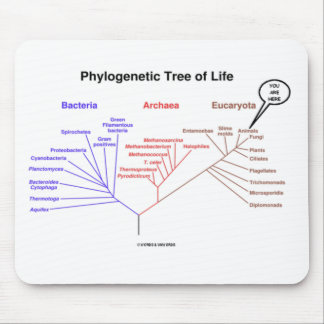 Phylogenetischer Baum des Lebens - Sie sind hier Mousepad