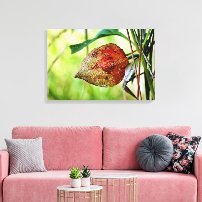 Physalis alkekengi leinwanddruck (Insitu (Wohnzimmer))