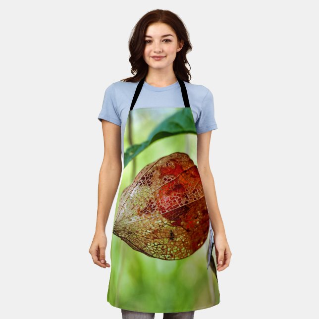 Physalis alkekengi Schürze (Getragen)