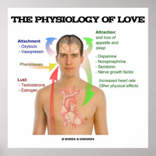 Physiologie der Liebe (Symptome der Liebe) Poster