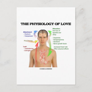 Physiologie der Liebe (Symptome der Liebe) Postkarte