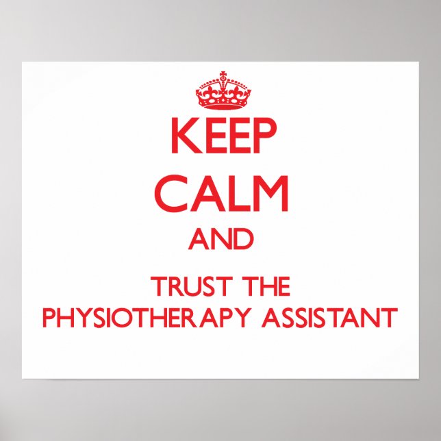 PHYSIOTHERAPIE-ASSIST1443.png Poster (Vorne)