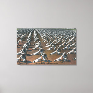 Physisches Schulungsprogramm für Rekruten - US-Mar Leinwanddruck