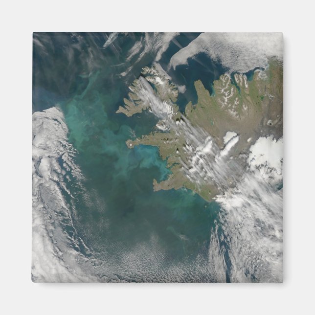 Phytoplankton blüht im Nordatlantik Magnet (Vorne)