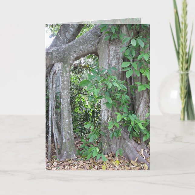 Pi jemand? karte (Vorderseite)