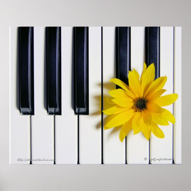 Piano-Blume Poster (Vorne)